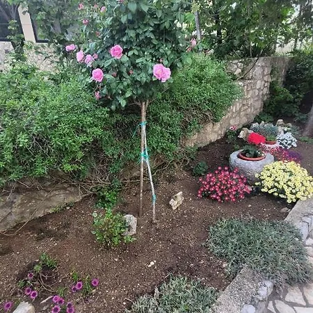 Apartament Lily Krk Town Zewnętrze zdjęcie